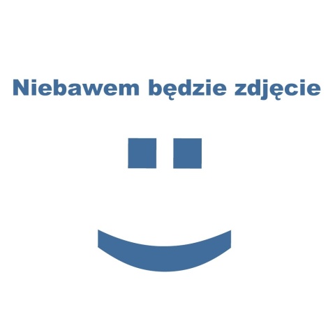 Żagwin 'Florado Rose Red' 2L