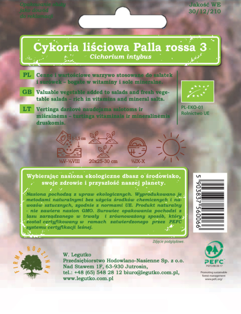 Cykoria sałatowa głowiasta Palla rossa 3 - czerwone liście zebrane z główki 0.50G