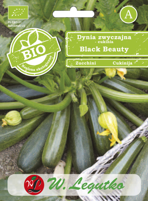 Dynia zwyczajna - cukinia Black Beauty ciemnozielona 2.00G