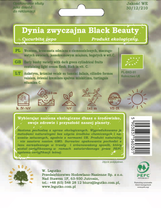 Dynia zwyczajna - cukinia Black Beauty ciemnozielona 2.00G