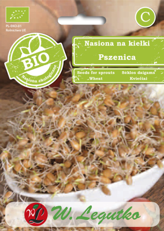 Nasiona na kiełki - pszenica zwyczajna 30.00G