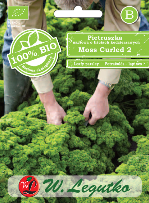 Pietruszka naciowa Moss Curled 2 - liście kędzierzawe 3.00G