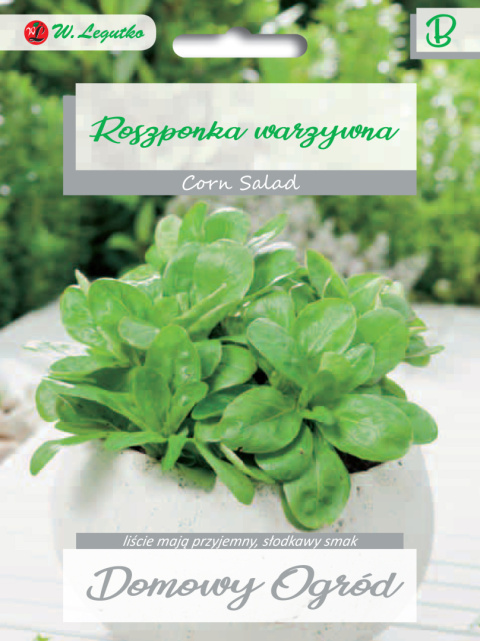 Roszponka warzywna Verte de Cambrai 2.00g