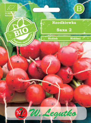 Rzodkiewka Saxa 2 - okrągła, czerwona 5.00G