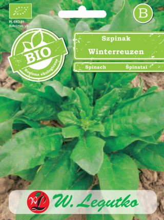 Szpinak Winterreuzen 10.00G