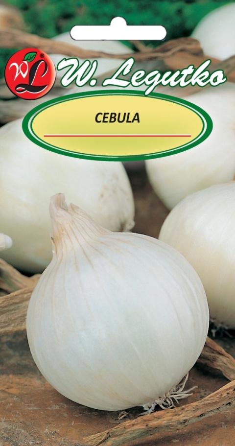 Cebula Agostana - łuska biała, śr. wczesna 5.00g