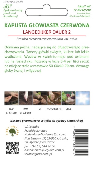Kapusta głowiasta biała Langedijker Dauer - późna 2.00G