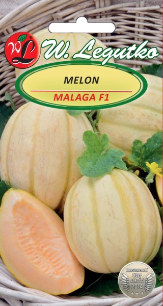 Melon Malaga F1 - miąższ ( c ) pomarańczowy 0.50G