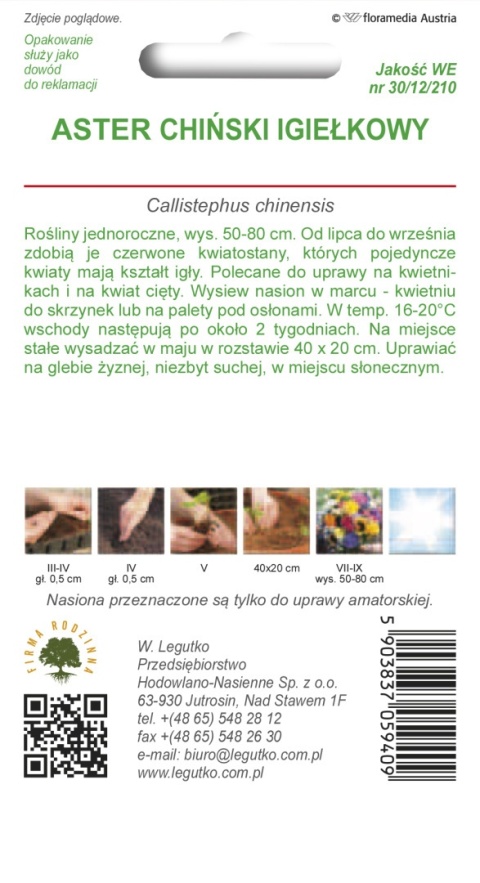 Aster chiński igiełkowy - czerwony 1.00g