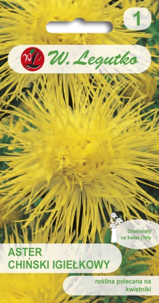 Aster chiński igiełkowy - żółty