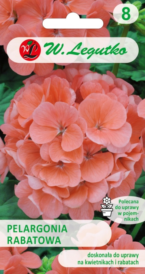 Pelargonia rabatowa Gama F1 - łososiowa 0.05g