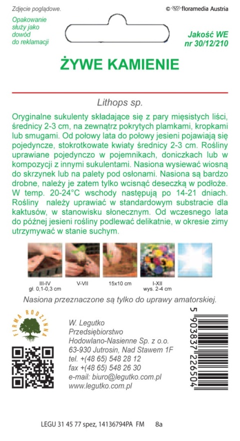 Żywe kamienie mieszanka 50nas.