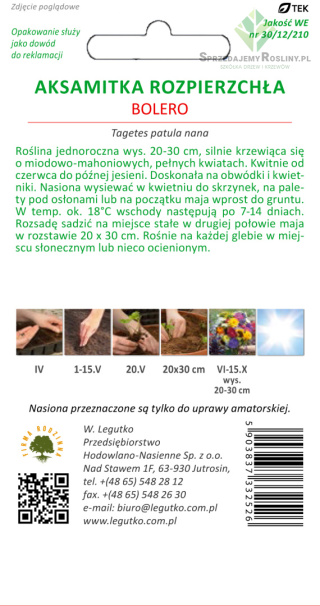 Aksamitka rozpierzchła Bolero - mahoniowo-miodowa 1.00g