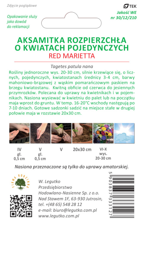 Aksamitka rozpierzchła o kwiatach pojedynczych Red Marietta - mahoniowo-czerwona z pomarańczowym brzegiem 1.00g