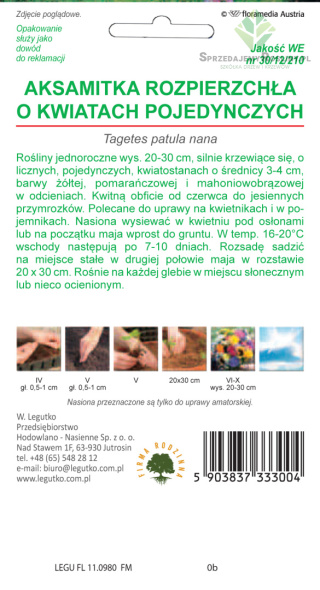 Aksamitka rozpierzchła o kwiatach pojedynczych mieszanka 1.00g