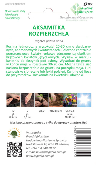 Aksamitka rozpierzchła - żółta 1.00g