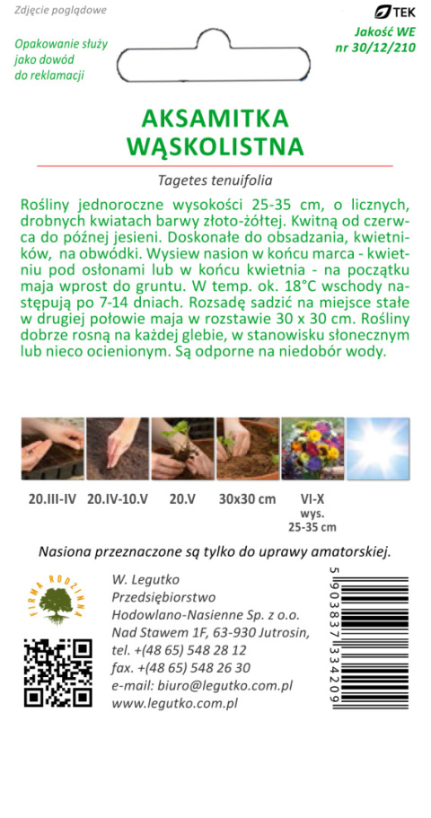 Aksamitka wąskolistna Golden Gem - złoto-żółta 0.30g