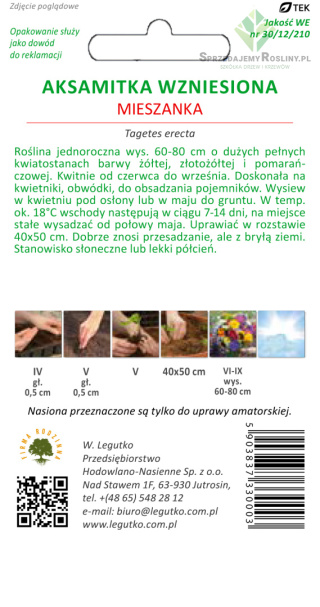 Aksamitka wzniesiona mieszanka bezzapachowa - rośliny pozbawione charakterystycznego zapachu 1.00g