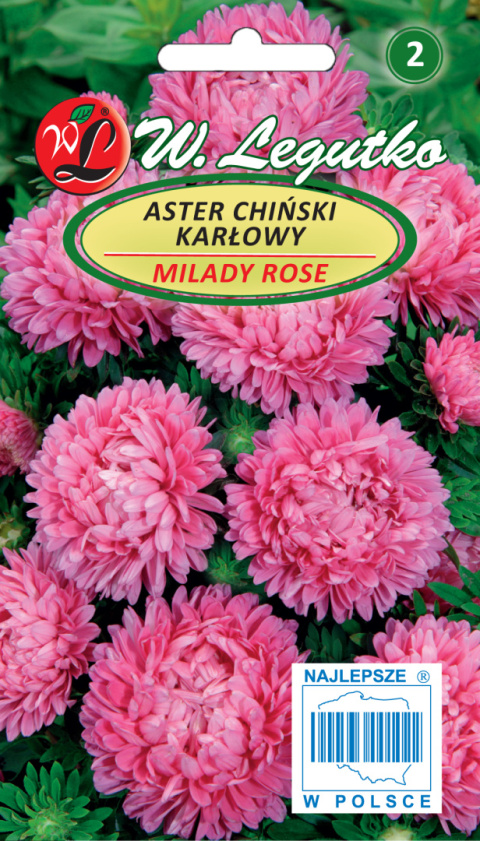 Aster chiński Milady Rose - różowy 1.00g