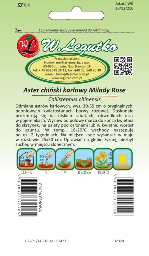 Aster chiński Milady Rose - różowy 1.00g