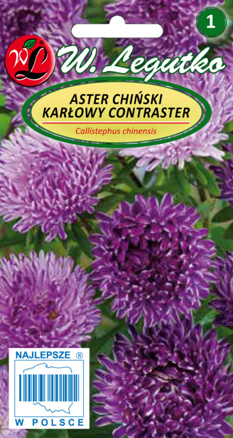 Aster chiński karłowy Contraster - ciemnoniebieski 0.50g