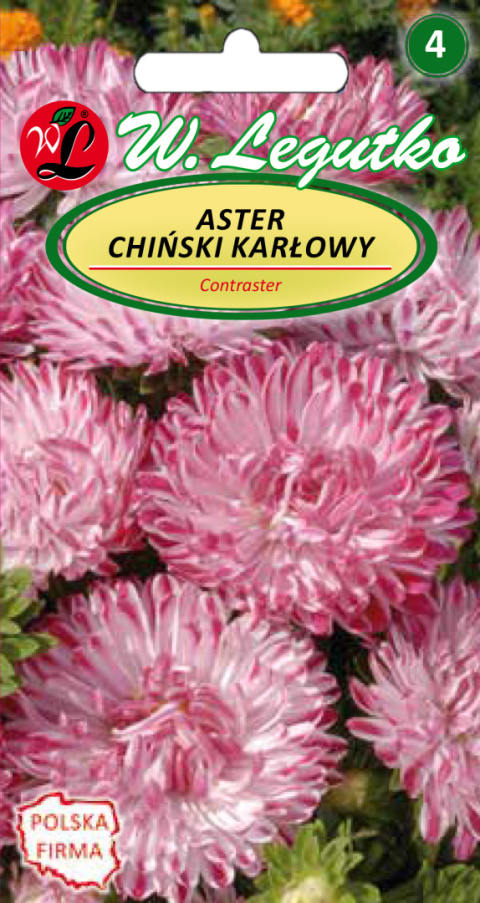 Aster chiński karłowy Contraster - różowo-biały 0.50g