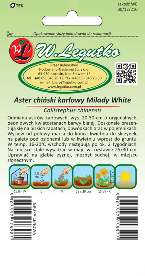 Aster chiński karłowy Milady White - biały 1.00g