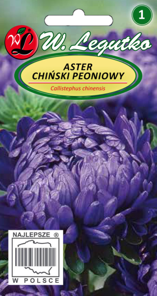 Aster chiński peoniowy - fioletowy 1.00g