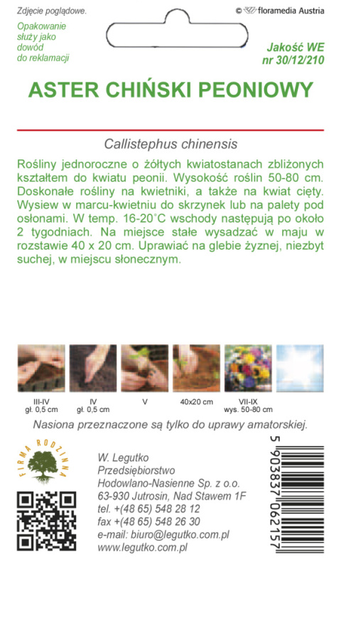 Aster chiński peoniowy - żółty 1.00g