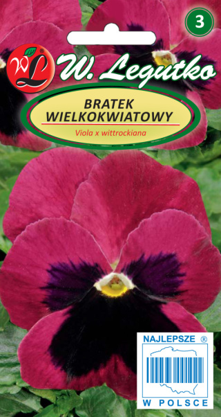 Bratek wielkokwiatowy Claret (dawniej Weinrote Töne) - karminoworóżowy z plamą 0.50g