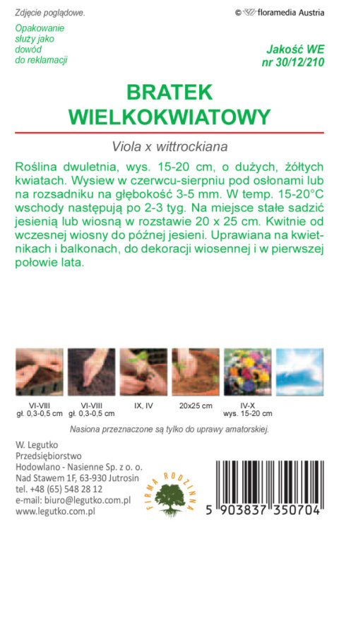 Bratek wielkokwiatowy Goldgelb - żółty 0.50g