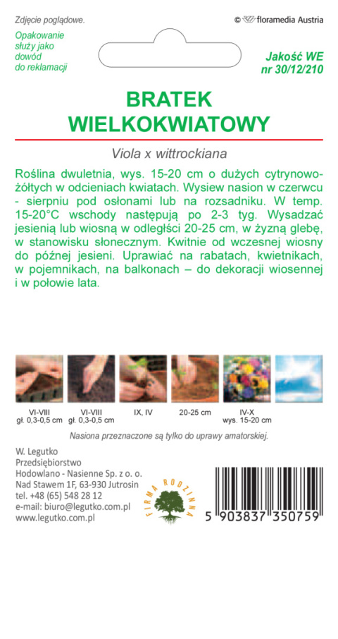 Bratek wielkokwiatowy Luna - cytrynowożółty w odcieniach 0.40g