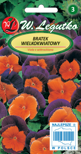 Bratek wielkokwiatowy Orange Violet - pomarańczowy z fioletowymi górnymi płatkami