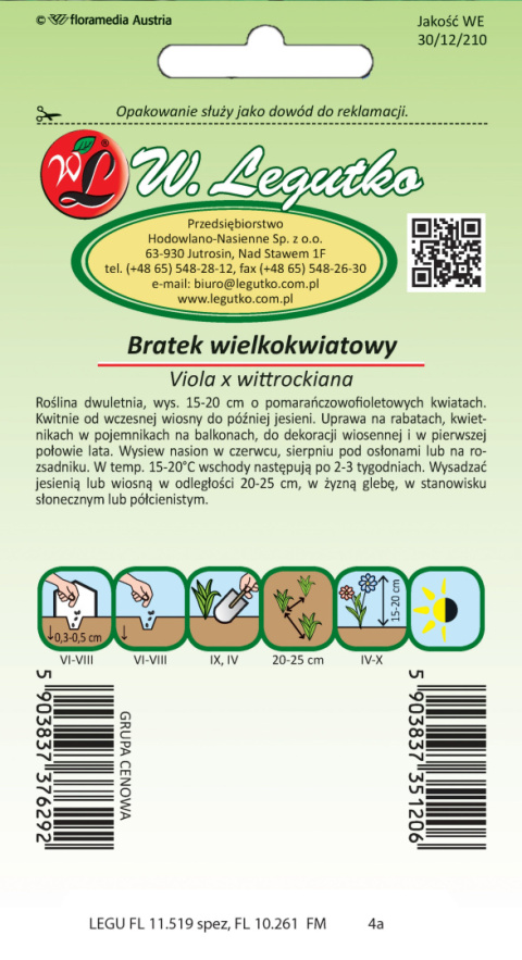 Bratek wielkokwiatowy Orange Violet - pomarańczowy z fioletowymi górnymi płatkami