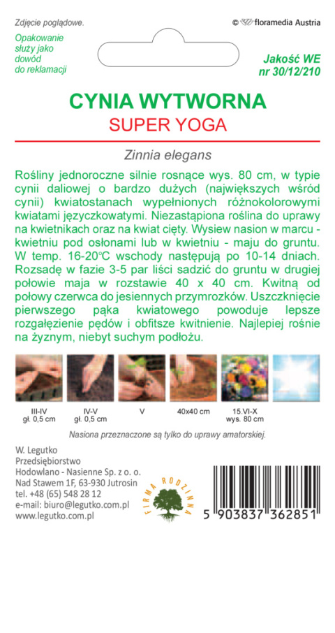 Cynia wytworna Super Yoga mieszanka wielkokwiatowa 1.00G