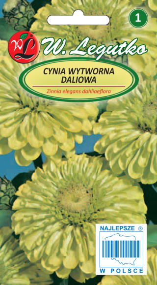 Cynia wytworna daliowa Envy - zielona 1.00G