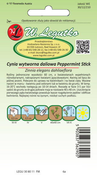 Cynia wytworna daliowa Peppermint Stick - mieszanka o kwiatach pstrych 1.00G