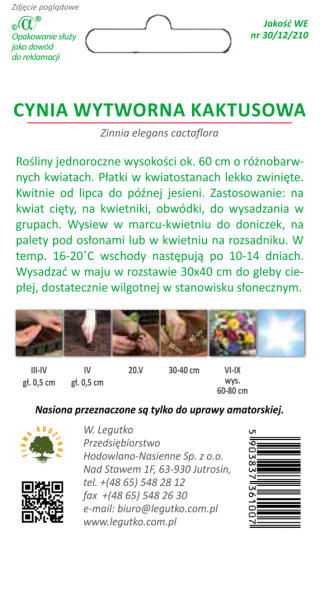 Cynia wytworna kaktusowa mieszanka 1.00G