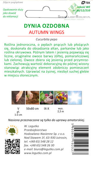 Dynia ozdobna Autumn Wings 1.00g