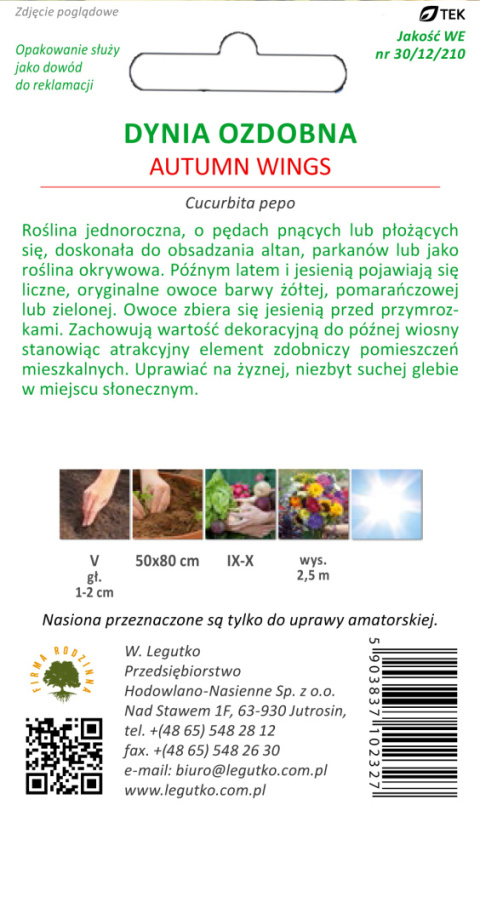 Dynia ozdobna Autumn Wings 1.00g