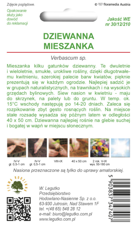 Dziewanna - mieszanka gatunków wieloletnich 0.10g