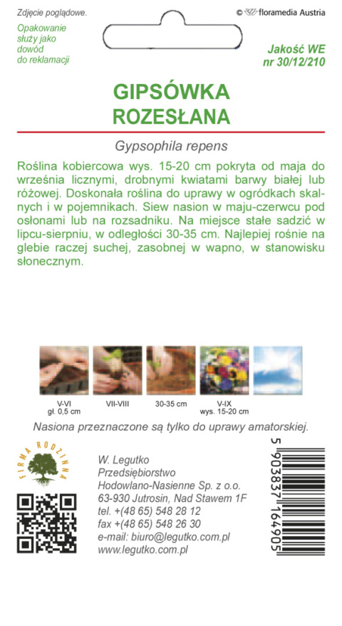 Gipsówka rozesłana mieszanka 0.30g