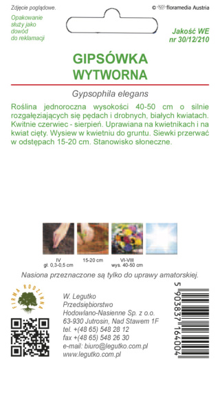 Gipsówka wytworna biała 1.00g