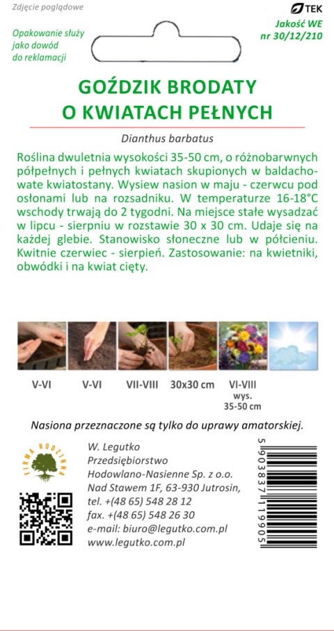 Goździk brodaty o kwiatach pełnych mieszanka 0.50g