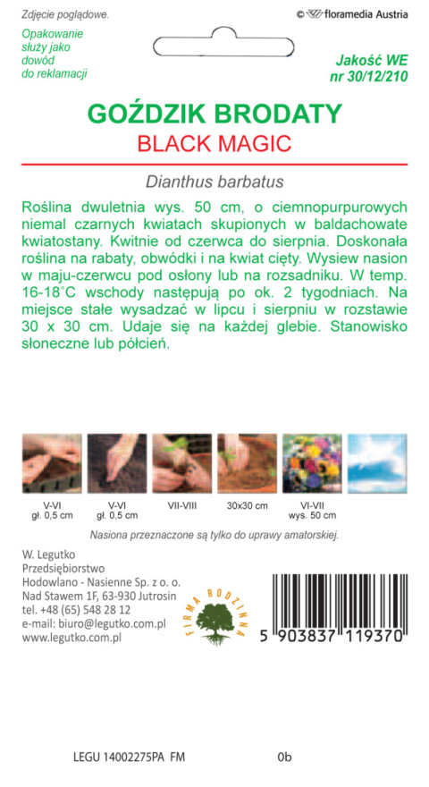 Goździk brodaty o kwiatach pojedynczych Black Magic - ciemnopurpurowy 0.50g