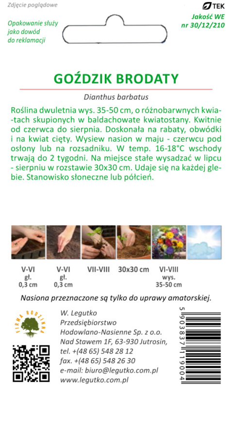 Goździk brodaty o kwiatach pojedynczych mieszanka 1.00g