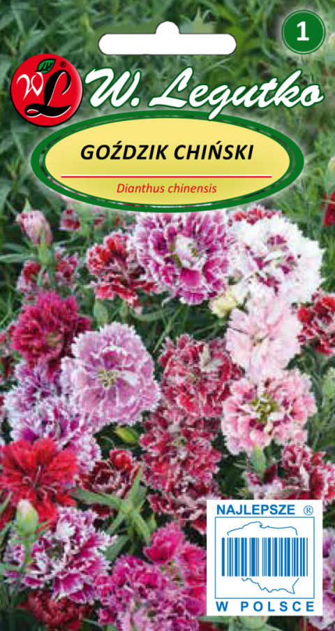 Goździk chiński mieszanka 1.00g