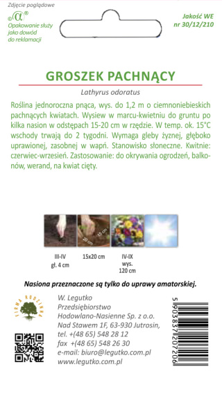 Groszek pachnący - wiśnowo-fioletowy 3.00g