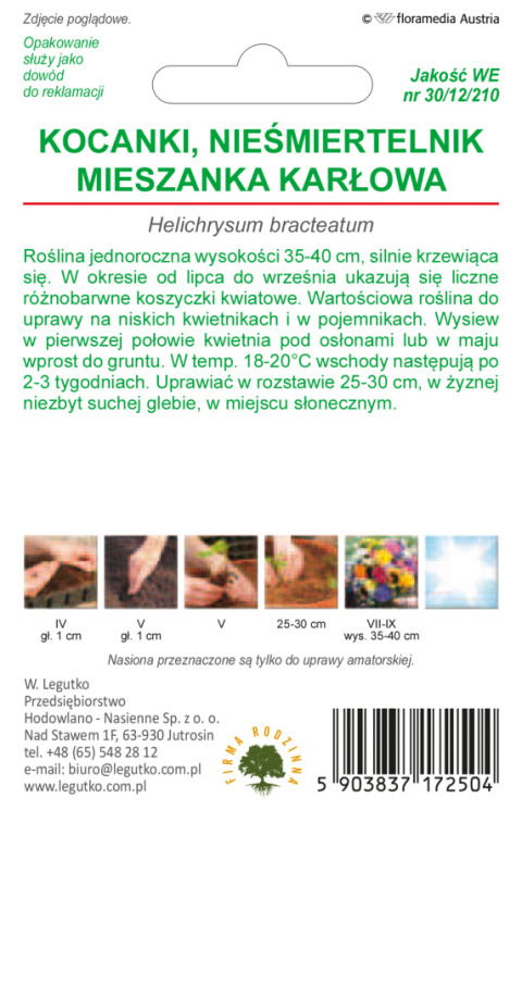 Kocanki, Nieśmiertelnik - karłowe Tom Thumb mieszanka 0.50g