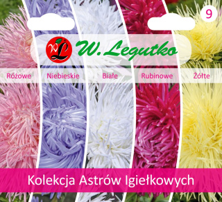 Kolekcja Astrów igiełkowych